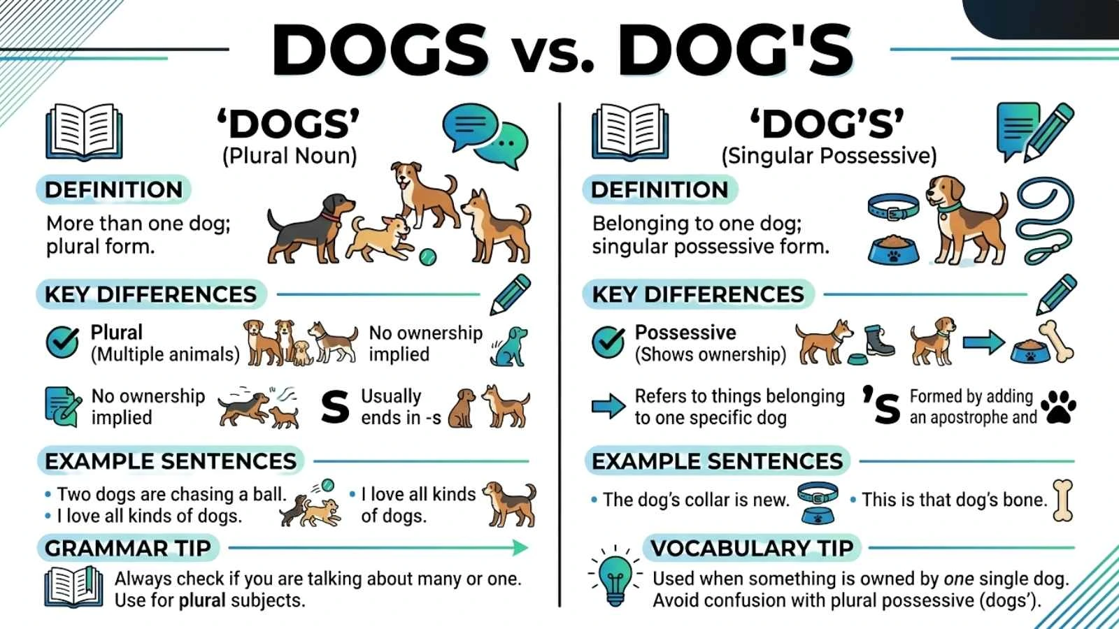 Dogs or Dog's: