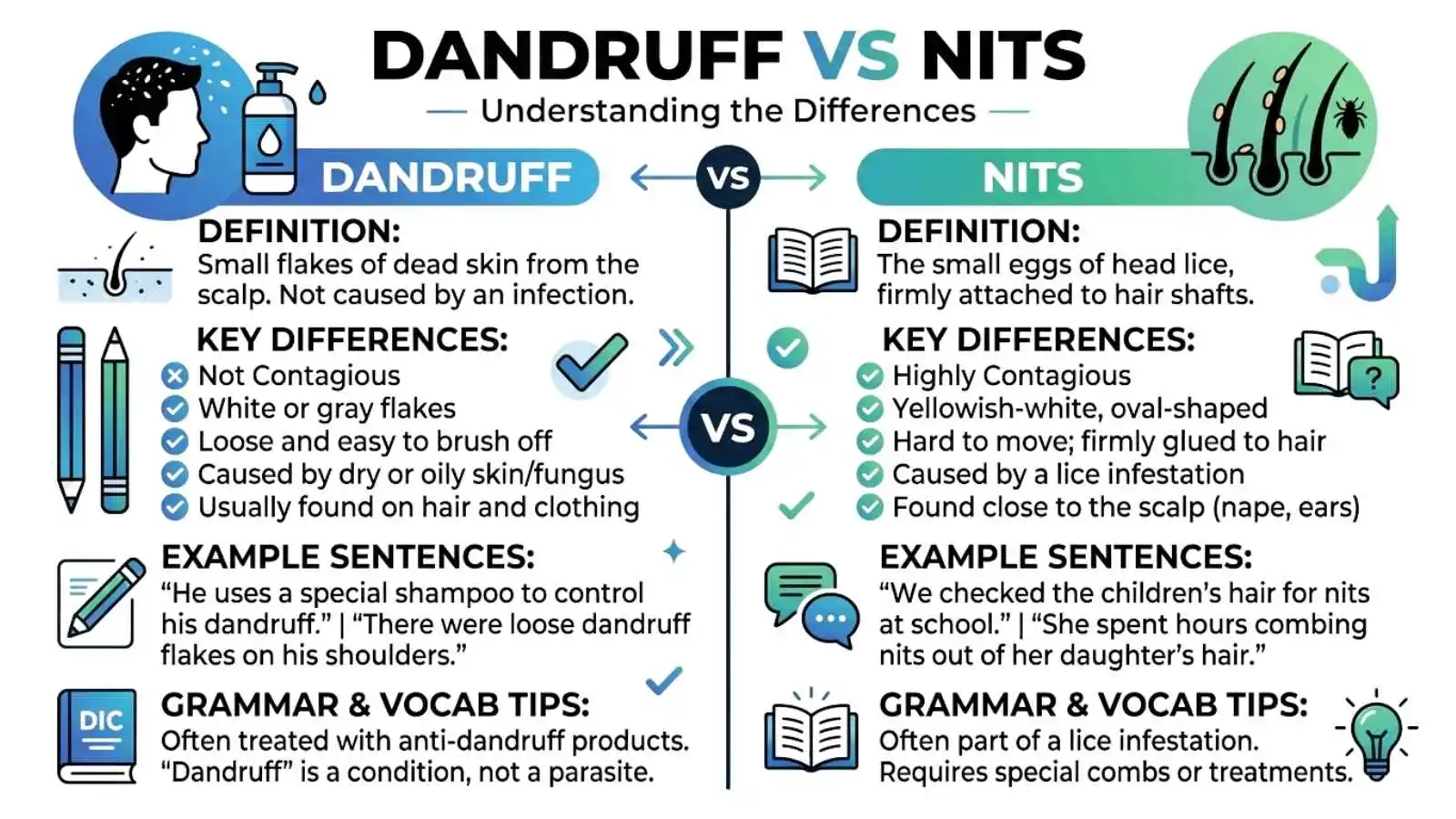 dandruff or nits